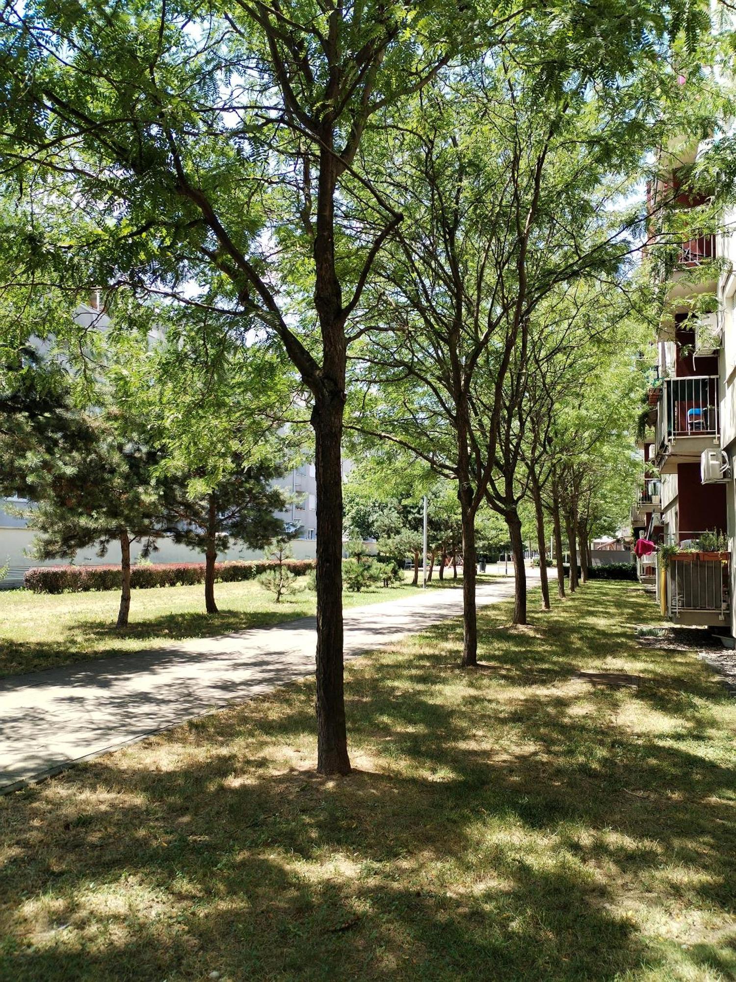 Apartman Ivana ザグレブ エクステリア 写真