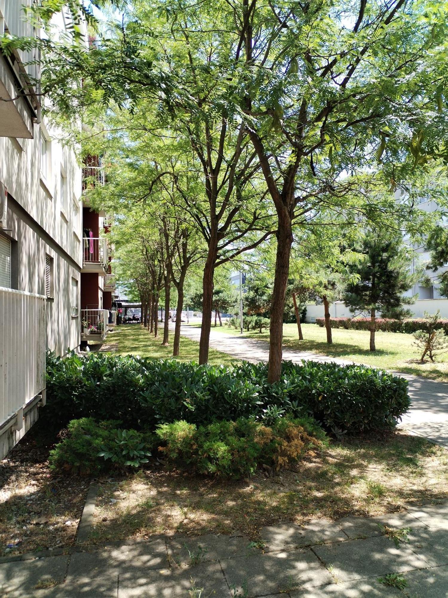 Apartman Ivana ザグレブ エクステリア 写真