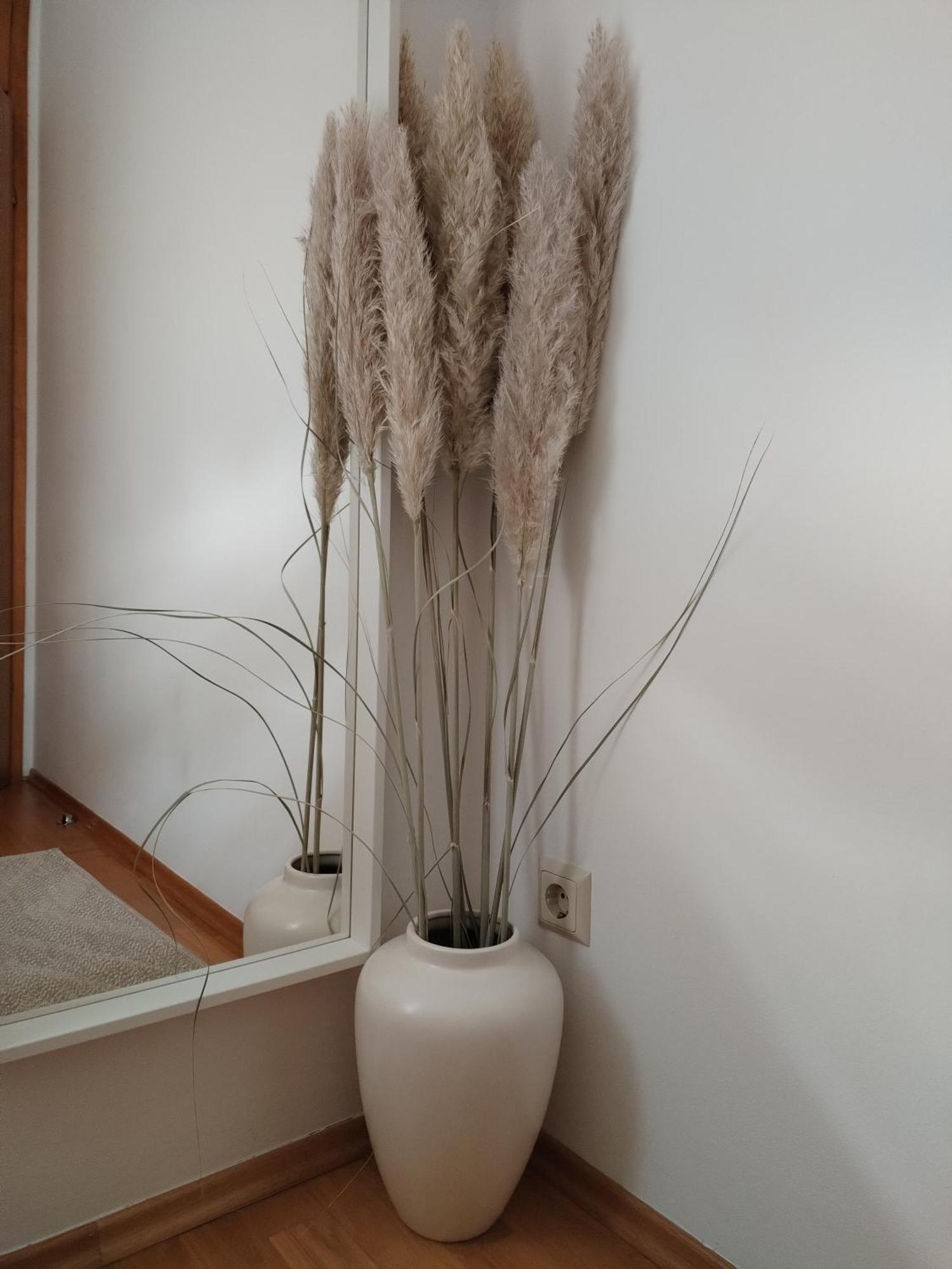 Apartman Ivana ザグレブ エクステリア 写真
